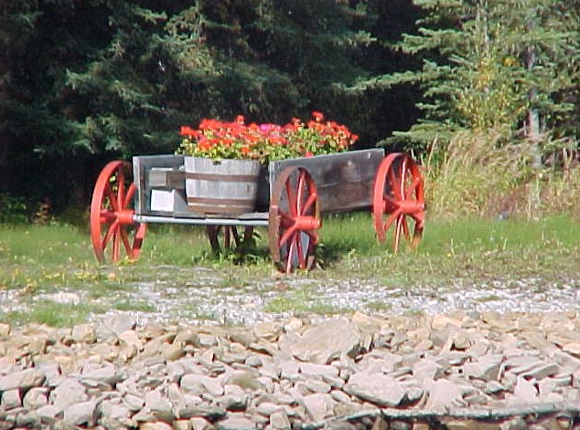 wagon