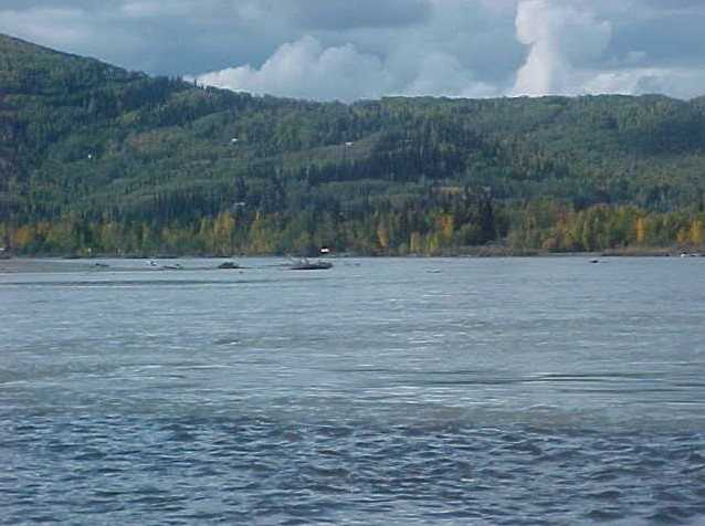 tanana river