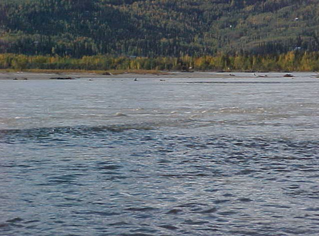 tanana